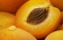 Масло абрикоса фл. 10мл  (Россия/МедикоМед)